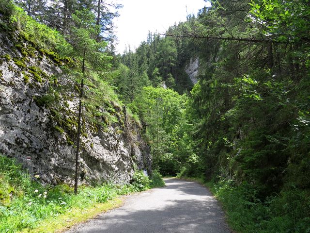 tato cesta vybudovaná v roce 1840 se používala před stavbou tunelu