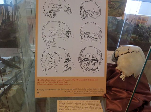 grafická rekonstrukce horní části obličeje Jana Žižky vypracovaná podle čáslavské kalvy Dr. Emanuelem Vlčkem