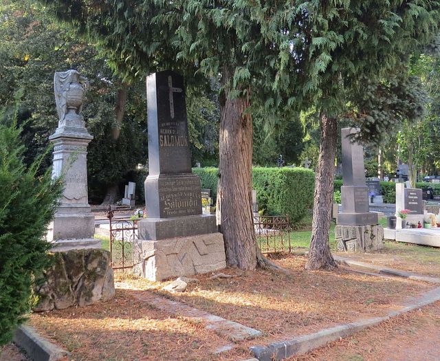 hrob rodiny Salomonových - Leopold Salomon, soukeník, byl v roce 1900 jmenován čestným občanem jihlavským
