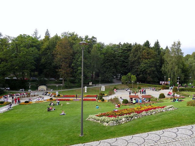 centrální květinová plocha mezi budovami centrální květinová plocha mezi budovami