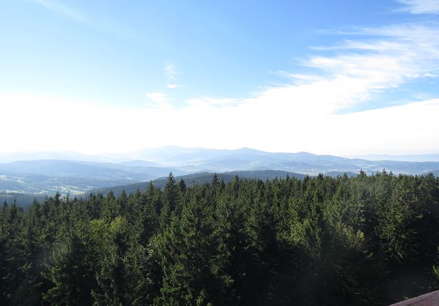 výhled na Praděd, Šerák, Králický Sněžník a další vrchy z rozhledny na Borůvkové hoře