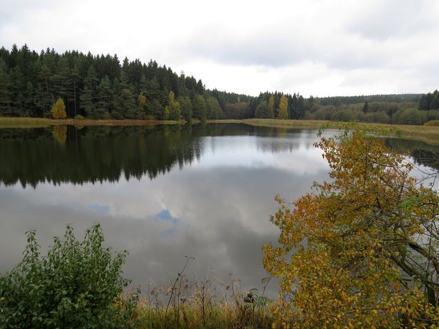 rybník Rejznarka