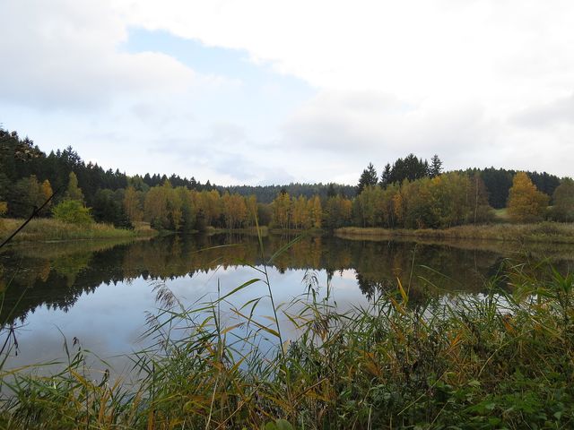 rybník Mikšovec