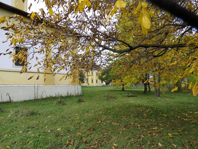 bývalá klášterní zahrada na podzim 2016 bývalá klášterní zahrada na podzim 2016