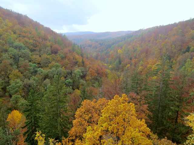 podzim v Račím údolí v Rychlebských horách