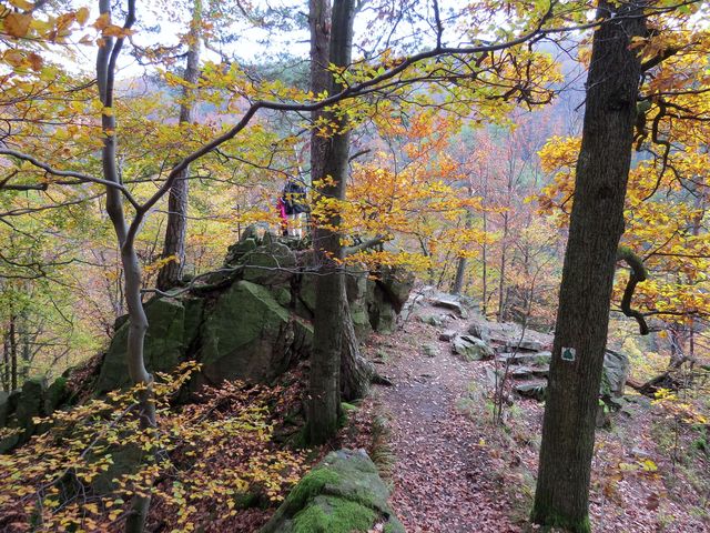 další Čertova skalka nad údolím Račího potoka další Čertova skalka nad údolím Račího potoka