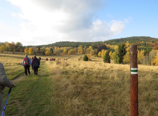 ze sedla Travná na Borůvkovou horu po hranicích česko-polských ze sedla Travná na Borůvkovou horu po hranicích česko-polských
