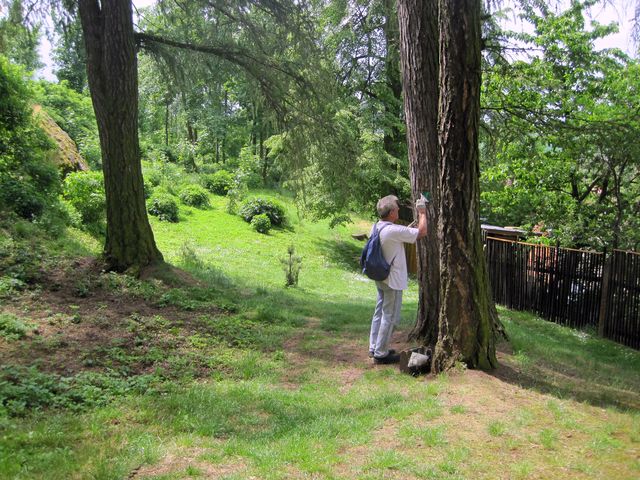 pohoda a klid při značení 6 km dlouhé NS Josefa Klementa pohoda a klid při značení 6 km dlouhé NS Josefa Klementa