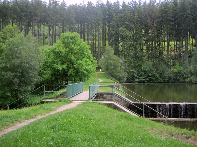 od směrovníku Pod Homolí zatáčí stezka na břeh rybníka Peklo od směrovníku Pod Homolí zatáčí stezka na břeh rybníka Peklo
