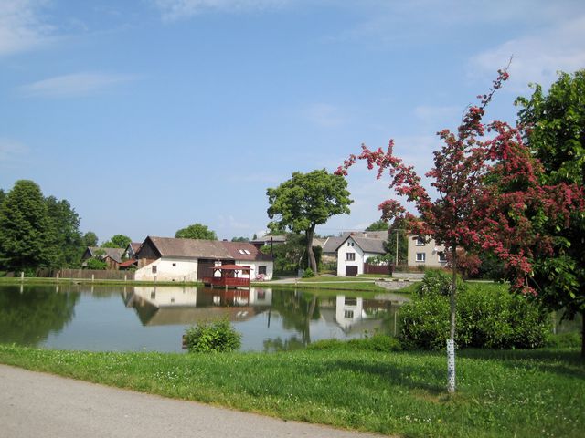 Dolní rybník v Kalištích Dolní rybník v Kalištích