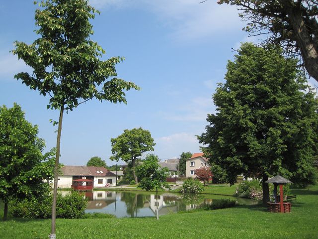 pamětní lípa sv. Anežky Přemyslovny byla vysazena v roce 2011 pamětní lípa sv. Anežky Přemyslovny byla vysazena v roce 2011