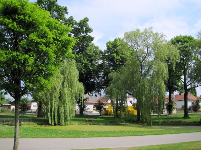 návesní rybníček v Kalištích návesní rybníček v Kalištích