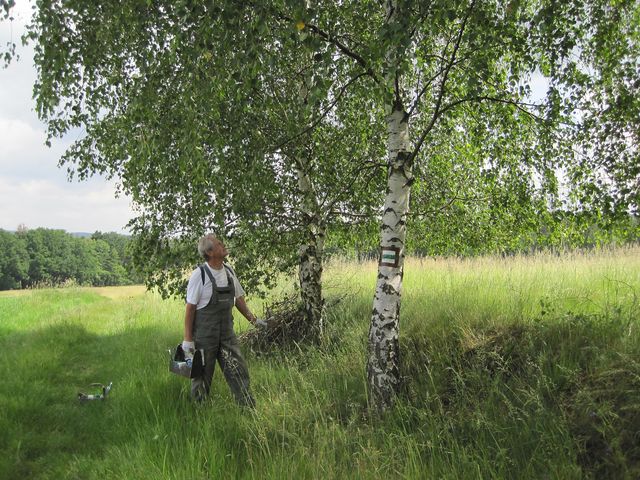 na Vršku nad Lískovicemi už zase panovala idyla na Vršku nad Lískovicemi už zase panovala idyla