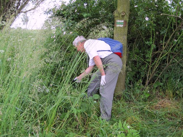 zeleně značená trasa je v tomto úseku nesnadno průchodná - udělali jsme pro zkvalitnění stezky maximum možného zeleně značená trasa je v tomto úseku nesnadno průchodná - udělali jsme pro zkvalitnění stezky maximum možného
