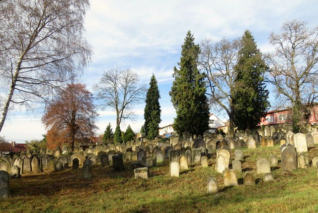 židovský hřbitov v Hořicích