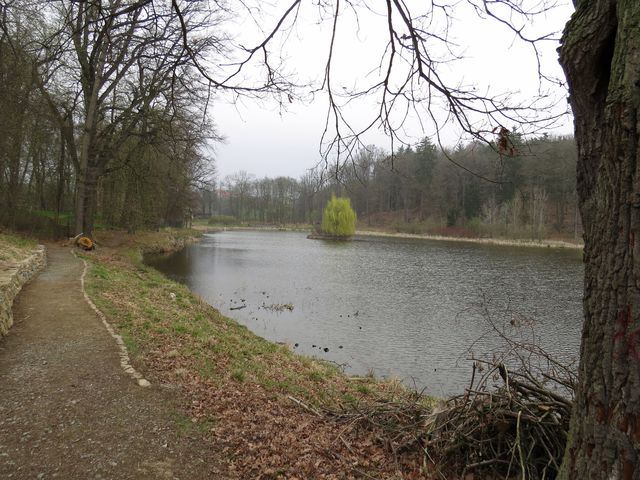 rybník Březina vybudovaný ve sníženině mezi zámkem a oborou