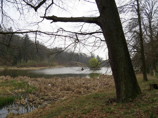 ostrůvky na rybníku Březina sloužily ptákům a zároveň vnášely romantický prvek do krajiny