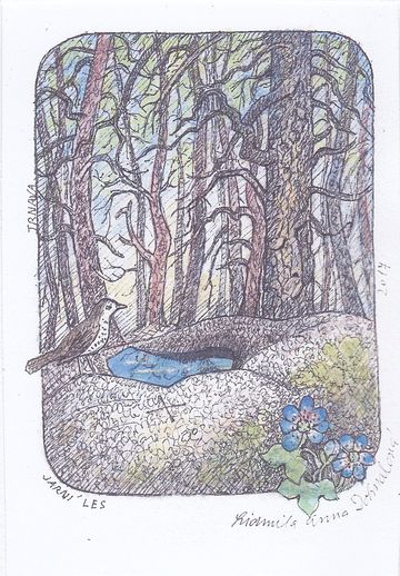 Jarní les v okolí Trnavy u Třebíče, autorka Lidmila Anna Dohnalová