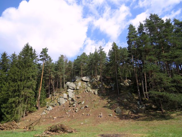 v lesích nad potokem se těžilo dřevo - teď vynikla krásná seskupení skalek v lesích nad potokem se těžilo dřevo - teď vynikla krásná seskupení skalek
