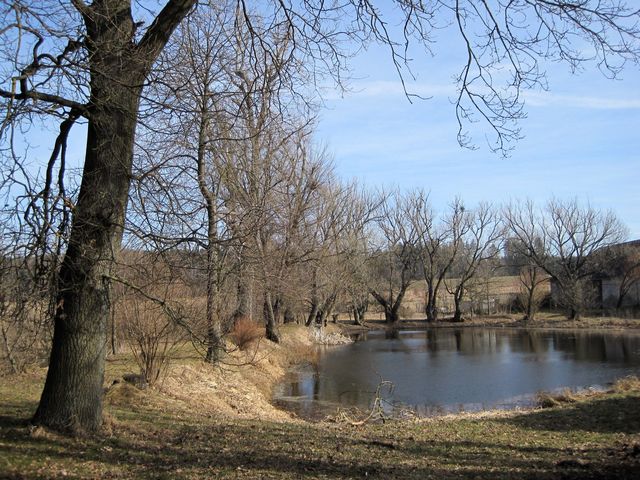 rybník u Sokolíčka