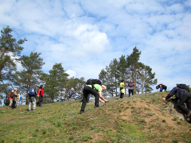 fotografové měli oči jen pro koniklece fotografové měli oči jen pro koniklece