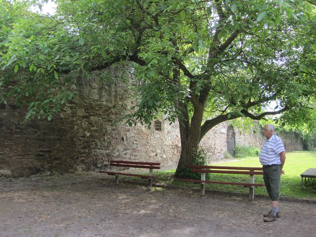 severní hradba bechyňského opevnění při pohledu z klášterní zahrady