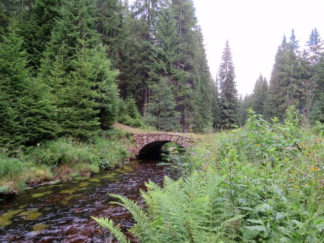 vodní kanál dřív sloužil pro plavení dřeva, od 30. let 20. století přivádí vodu pro elektrárnu Vydra