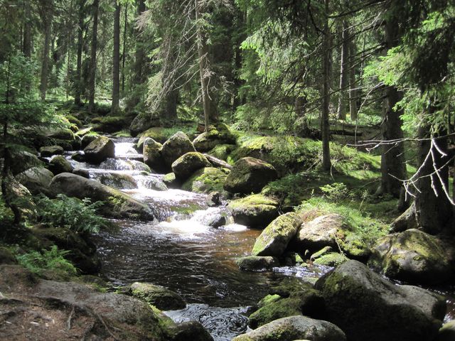 romantický Hamerský potok - pokaždé jiný, vždycky úchvatný